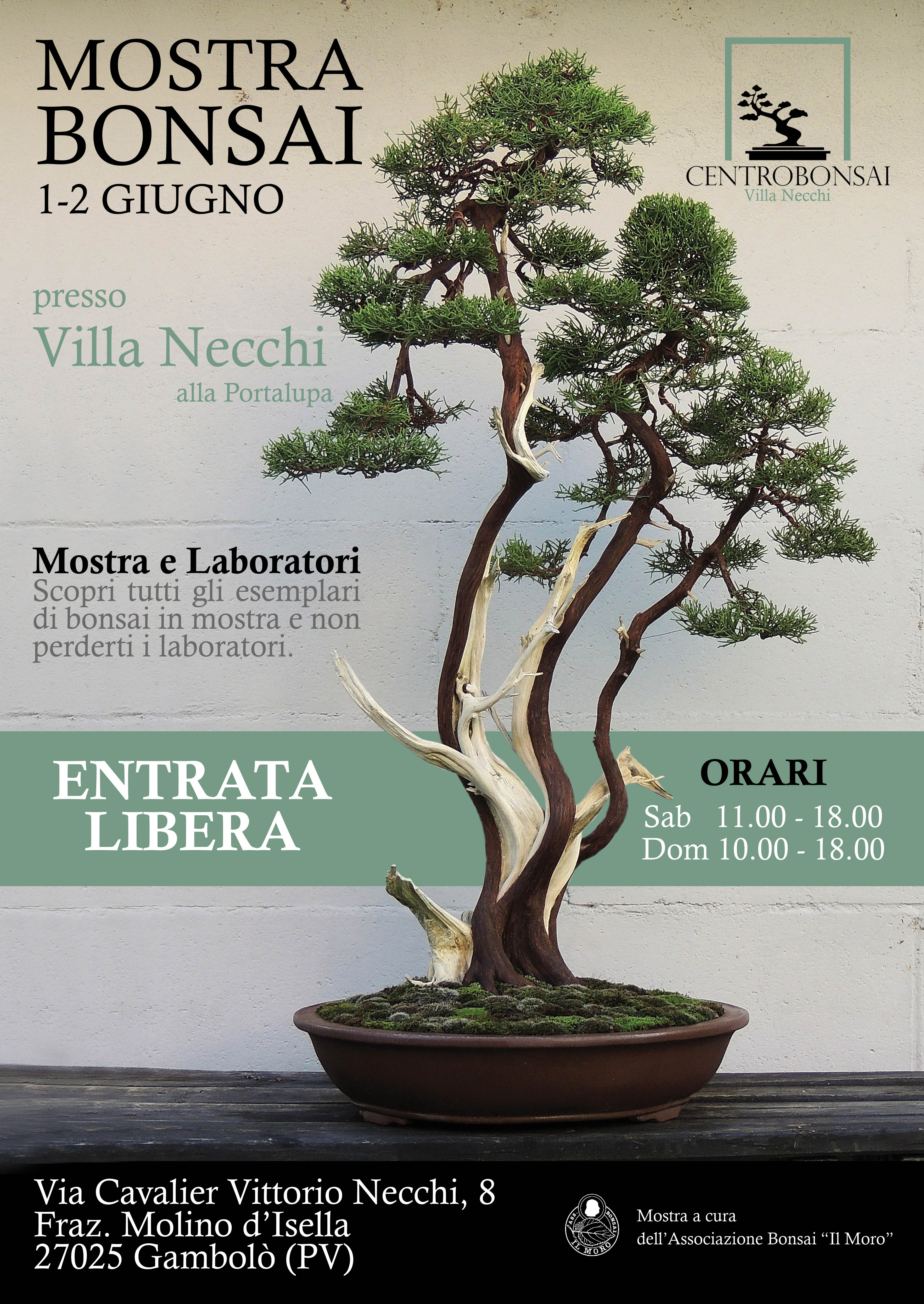 Mostra Bonsai 1-2 Giugno