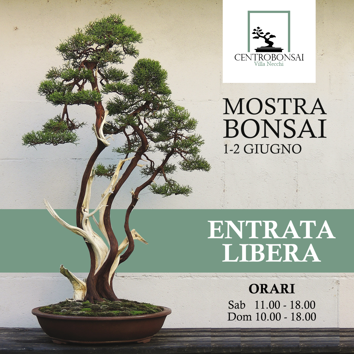 Mostra Bonsai 1-2 Giugno