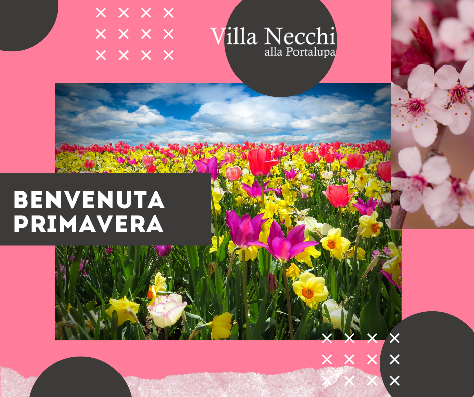 Benvenuta primavera